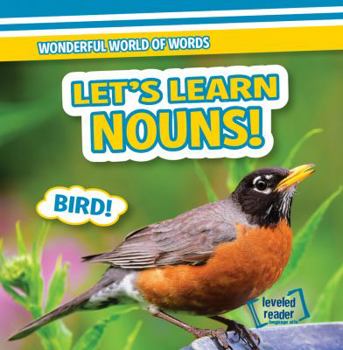 Paperback Let's Learn Nouns! Book