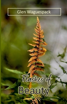 Paperback Flashes of Beauty Book