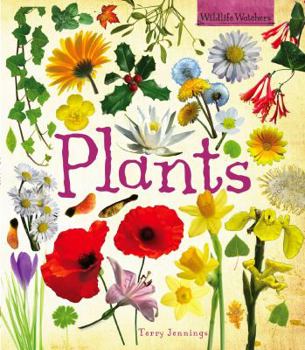 Paperback Plants (Wildlife Watchers) Book