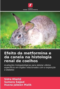 Efeito da metformina e da canela na histologia renal de coelhos