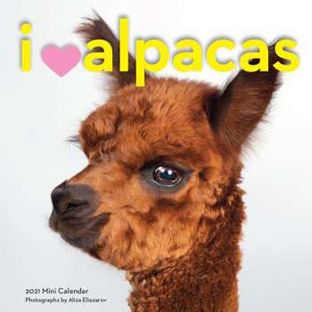 2021 I Heart Alpacas Mini Wall Calendar