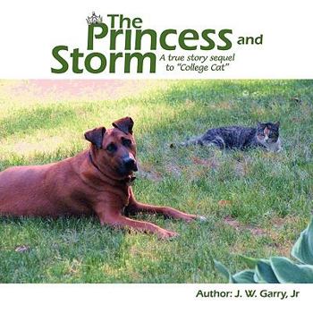 Paperback The Princess and Storm Book