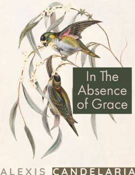 Paperback In The Absence of Grace Book