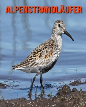 Paperback Alpenstrandl?ufer: Sch?ne Bilder & Kinderbuch mit interessanten Fakten ?ber Alpenstrandl?ufer [German] Book