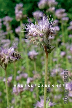 Hausaufgabenheft 2020 / 2021: Kalender September 2020 bis August 2021, Wochenplaner 1 Woche auf 2 Seiten, Schulaufgabentermine, Notenübersicht auf 2 ... Notizen, ca. 15x21 cm Natur (German Edition)