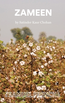 Paperback Zameen Book