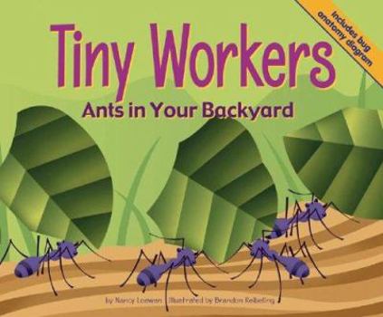 Tiny Workers: Ants in Your Backyard (Backyard Bugs) - Book  of the Backyard Bugs