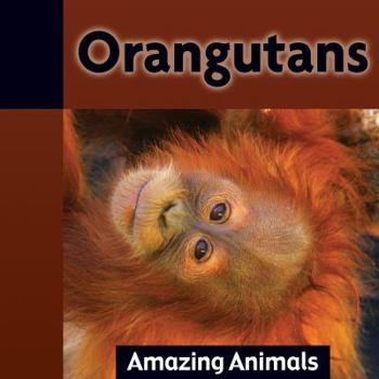 Library Binding Orangutans Book