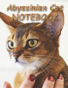 Paperback Abyssinian Cat NOTEBOOK: Notebooks and Journals 110 pages (8.5"x11") Book