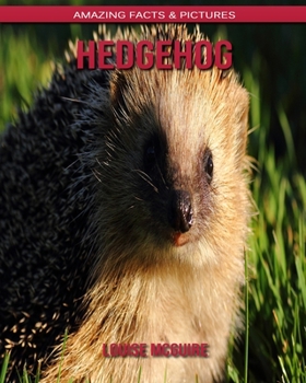 Hedgehog: Amazing Facts & Pictures