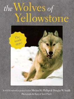 Paperback The Wolves of Yellowstone Book