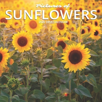 Paperback Pictures of Sunflowers 2020 Desk Calendar: Pretty Flowers, 8.5 x 8.5, 12 Month Mini Calendar Planner January 2020 - December 2020, Floral Photography, Book
