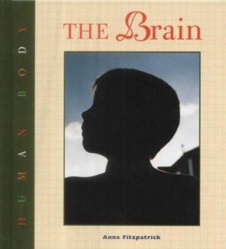 Hardcover The Human Body: The Brain Book