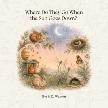 Where Do They Go When the Sun Goes Down?