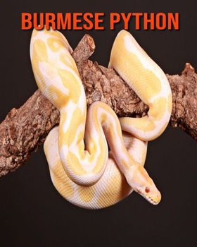 Burmese Python: Amazing Facts & Pictures
