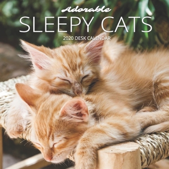 Paperback Adorable Sleepy Cats 2020 Desk Calendar: Funny Cats, 8.5 x 8.5, 12 Month Mini Calendar Planner January 2020 - December 2020, Cat Pictures, Great for H Book