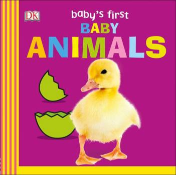 Board book Baby's First Baby Animals Book