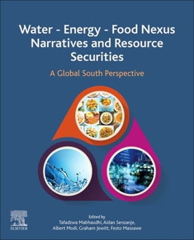 Paperback Water - Energy - Food Nexus Narratives and Resource Securities: A Global South Perspective Book