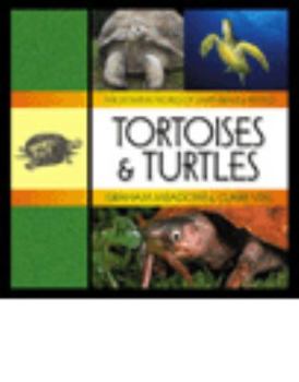 Paperback Tortoises & Turtles Book
