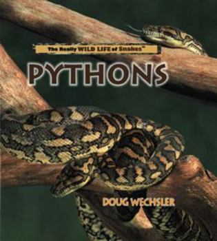 Pythons - Book  of the Really Wild Life of Snakes