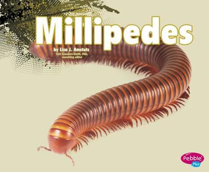 Millipedes - Book  of the Creepy Crawlers