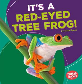 It's a Red-Eyed Tree Frog! - Book  of the Animales de la Selva Tropical