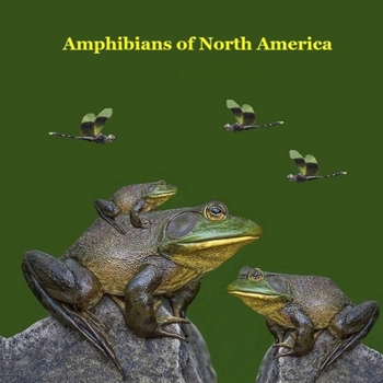 Paperback Amphibians of North America Kids Book: Great Children's Amphibians Book about Frogs, Toads, Salamanders, of North America Book