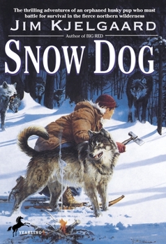 Paperback Snow Dog Book