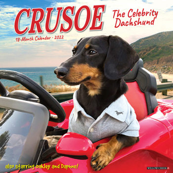 Calendar Crusoe the Celebrity Dachshund 2022 Wall Calendar Book