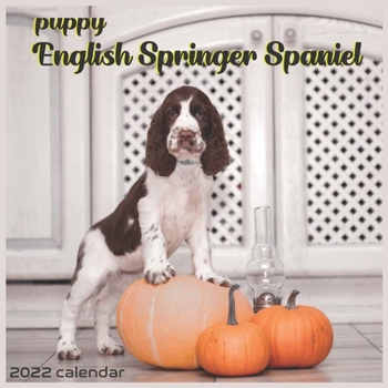 English Springer Spaniel Puppy 2022 Calendar: Offcial English Springer Spaniel Dog breed 2022 Calendar 16 Months