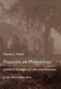 Peasants on Plantations: Subaltern Strategies of Labour and Resistance in the Pisco Valley, Peru (Latin America Otherwise: Languages, Empires, Nations)