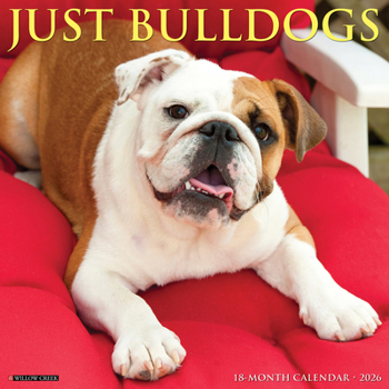 Calendar Bulldogs 2026 Wall Calendar Book