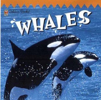 Paperback Whales Book