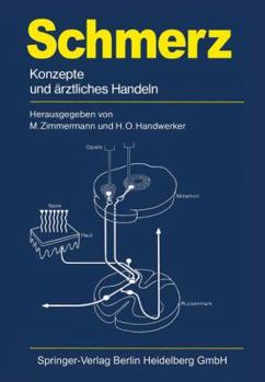 Paperback Schmerz: Konzepte Und Ärztliches Handeln [German] Book