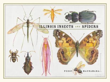 Paperback Illinois Insects and Spiders Book