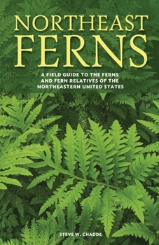 Paperback Northeast Ferns: A Field Guide to the Ferns and Fern Relatives of the Northeastern United States Book