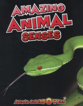 Paperback Amazing Animal Senses Book