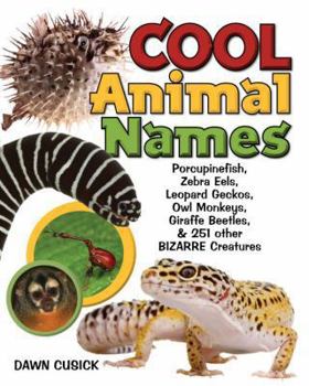 Hardcover Cool Animal Names: Porcupine Fish, Zebra Eels, Leopard Geckos, Owl Monkeys, Giraffe Beetles, & 251 Other Bizarre Creatures Book