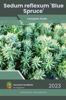 Paperback Sedum reflexum 'Blue Spruce': Succulent Handbook: Complete Guide to Growing Succulent Plant Book