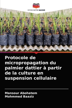 Paperback Protocole de micropropagation du palmier dattier à partir de la culture en suspension cellulaire [French] Book