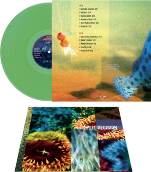 Vinyl Split Decision   Green Book