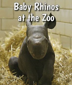 Paperback Baby Rhinos at the Zoo Book