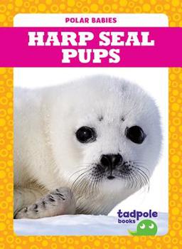 Paperback Harp Seal Pups Book
