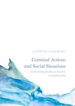 Hardcover Criminal Actions and Social Situations: Understanding the Role of Structure and Intentionality Book