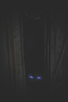 Paperback From Out of the Basement Shadows: Five terrifying tales Book