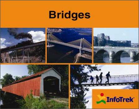 Paperback Bridges Book