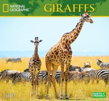 Calendar National Geographic Giraffes 2019 Calendar Book