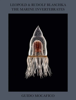 Guido Mocafico: Leopold & Rudolf Blaschka: The Marine Invertebrates