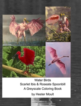 Paperback Water Birds - Scarlet Ibis & Roseate Spoonbill: A Greyscale Coloring Book