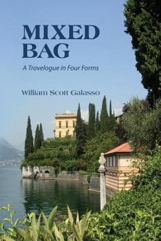 Paperback Mixed Bag: A Travelogue in Four Forms Book